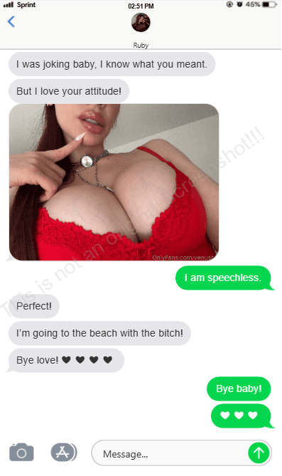 When Perfect Is Not Enough - Episode 5 - Convincing/All mine — image 20