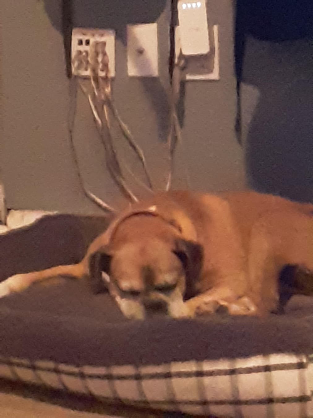 My gamer mom - Part 1 — image 9